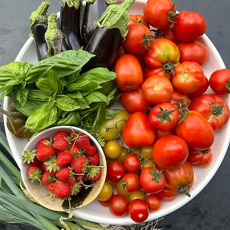 Alba Rosula Maison d'hôtes 3*