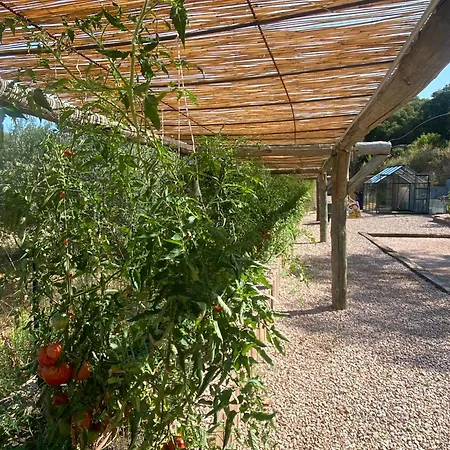 Alba Rosula 3* Ajaccio (Corsica)