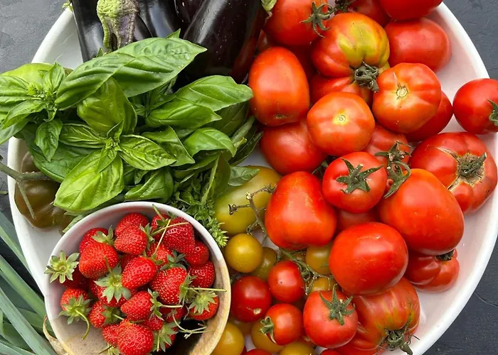 Alba Rosula Maison d'hôtes 3*