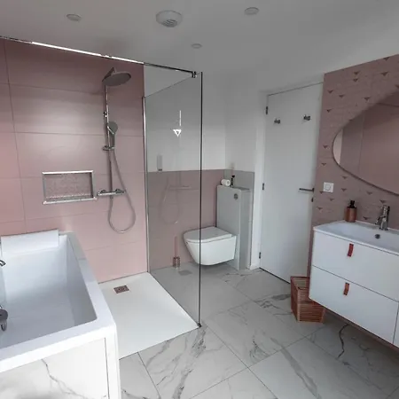 Alba Rosula 阿雅克肖